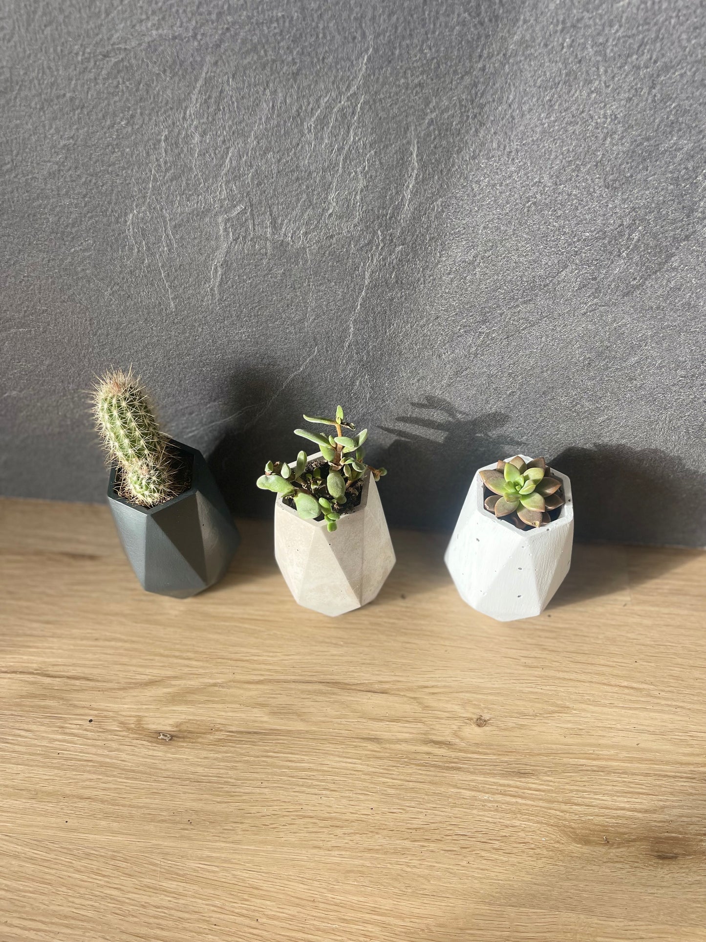 Macetas Hexagonales de Hormigón 10x7cm