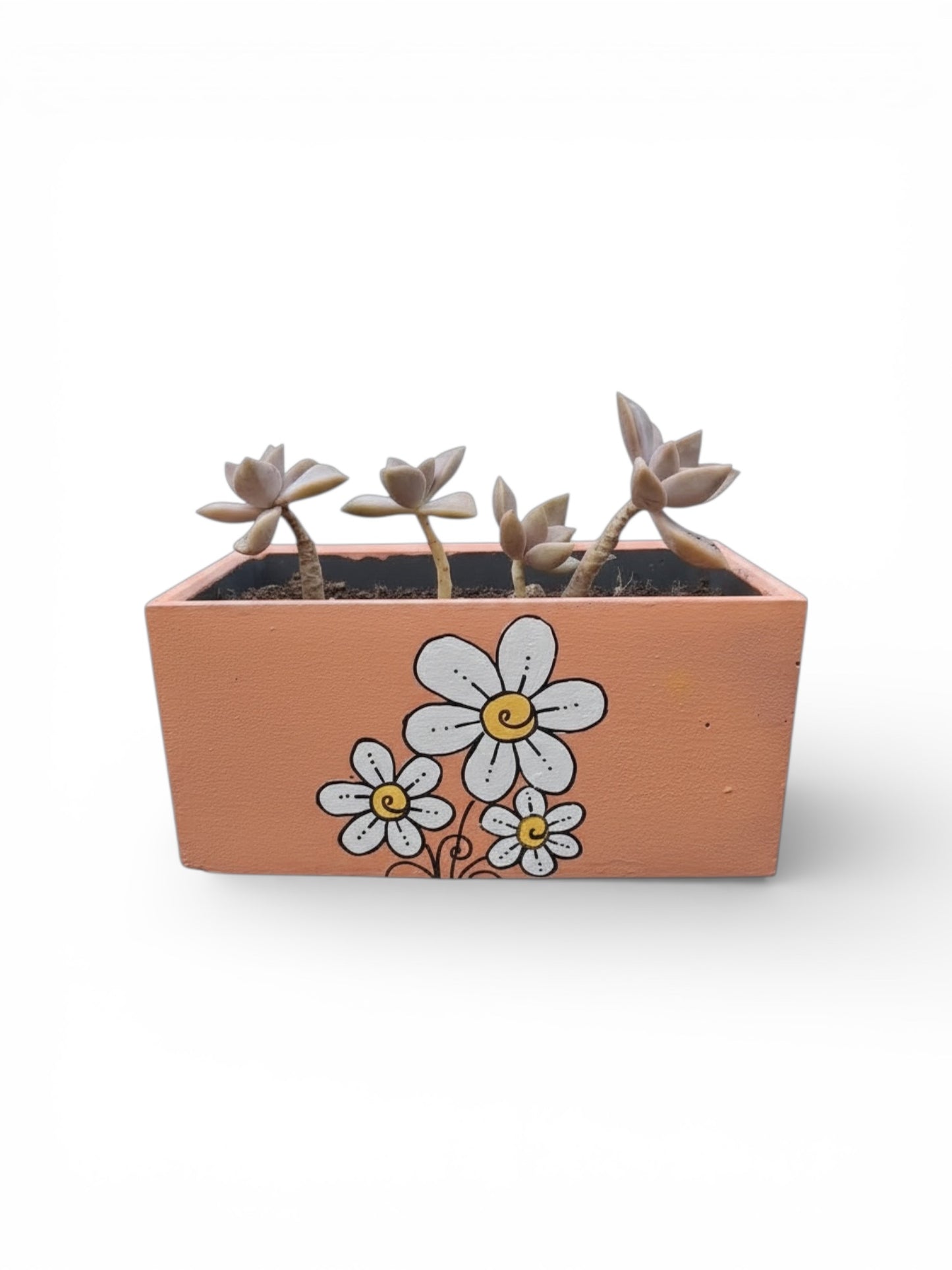 Maceta Artística Hormigón - Diseño Flores Coral - 19x9x10cm